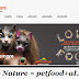 Almo Nature, la nuova vita di Petfood+aLmore anche su web