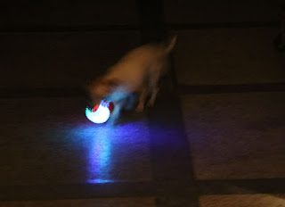 Thelma playing with the flashing ball in the dark corridor