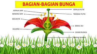 bagian bagian bunga