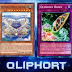 Deck Qliphort