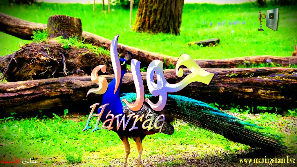 معنى اسم, حوراء, وصفات, حاملة, هذا الاسم, Hawraa,