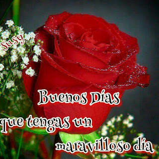 buenos dias rosas hermoso dia te quiero mucho dios te bendiga