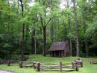 Cabin In A Dense Forest