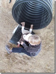 donnell farm 17 mo 050 - Copy