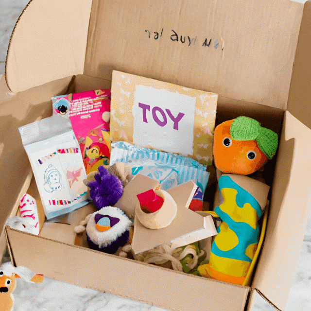 Top Toy Subscription Box