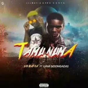 Lil Mária – Tamu Numa (feat. Uami Ndongadas & Dj Sipoda)