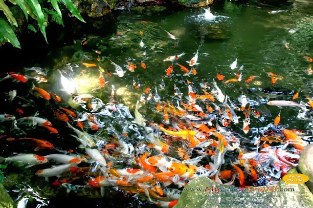 Kuala Lumpur Bird Park