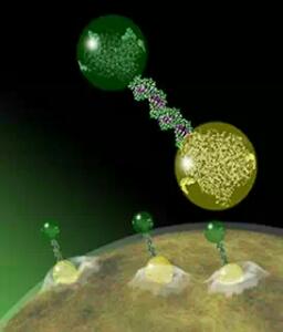Molekul Nano Kanker