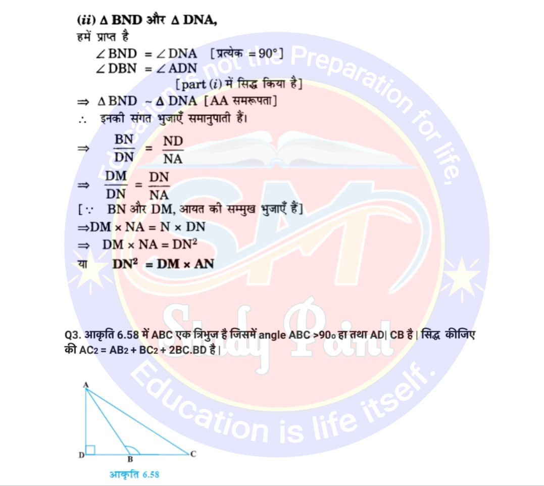 Bihar Board NCERT Math Solutio'n of Triangle | Class 10th Math Exercise 6.6 | त्रिभुज सभी प्रश्नों के उत्तर | प्रश्नावली 6.6 | SM Study Point