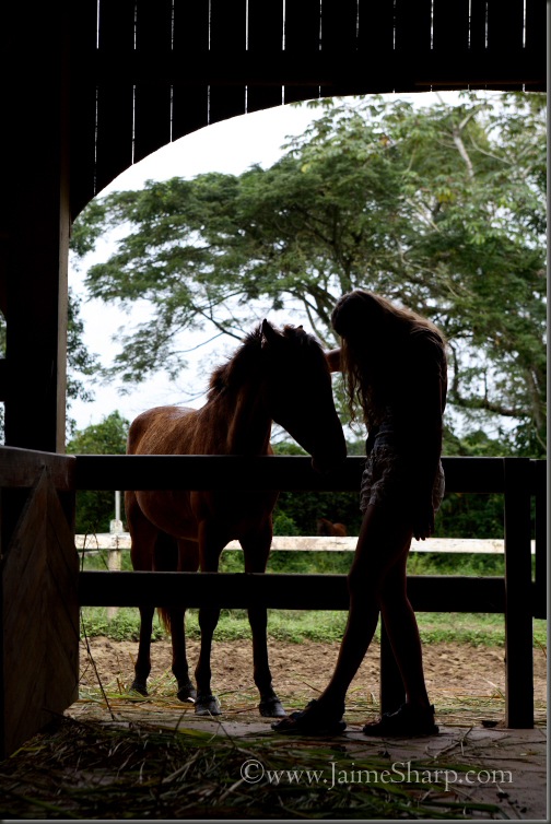 Horse Banana Bank(C)JaimeSharp0048