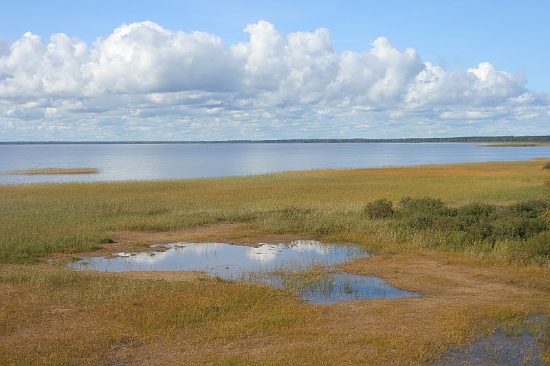 Võrtsjärv