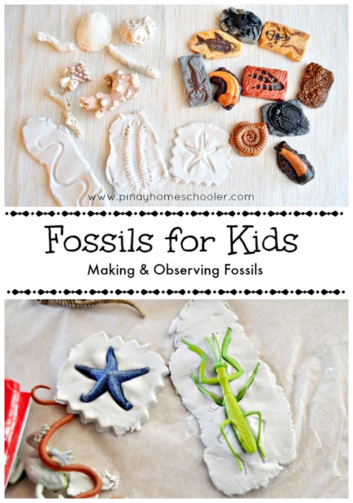 Fossils PIN