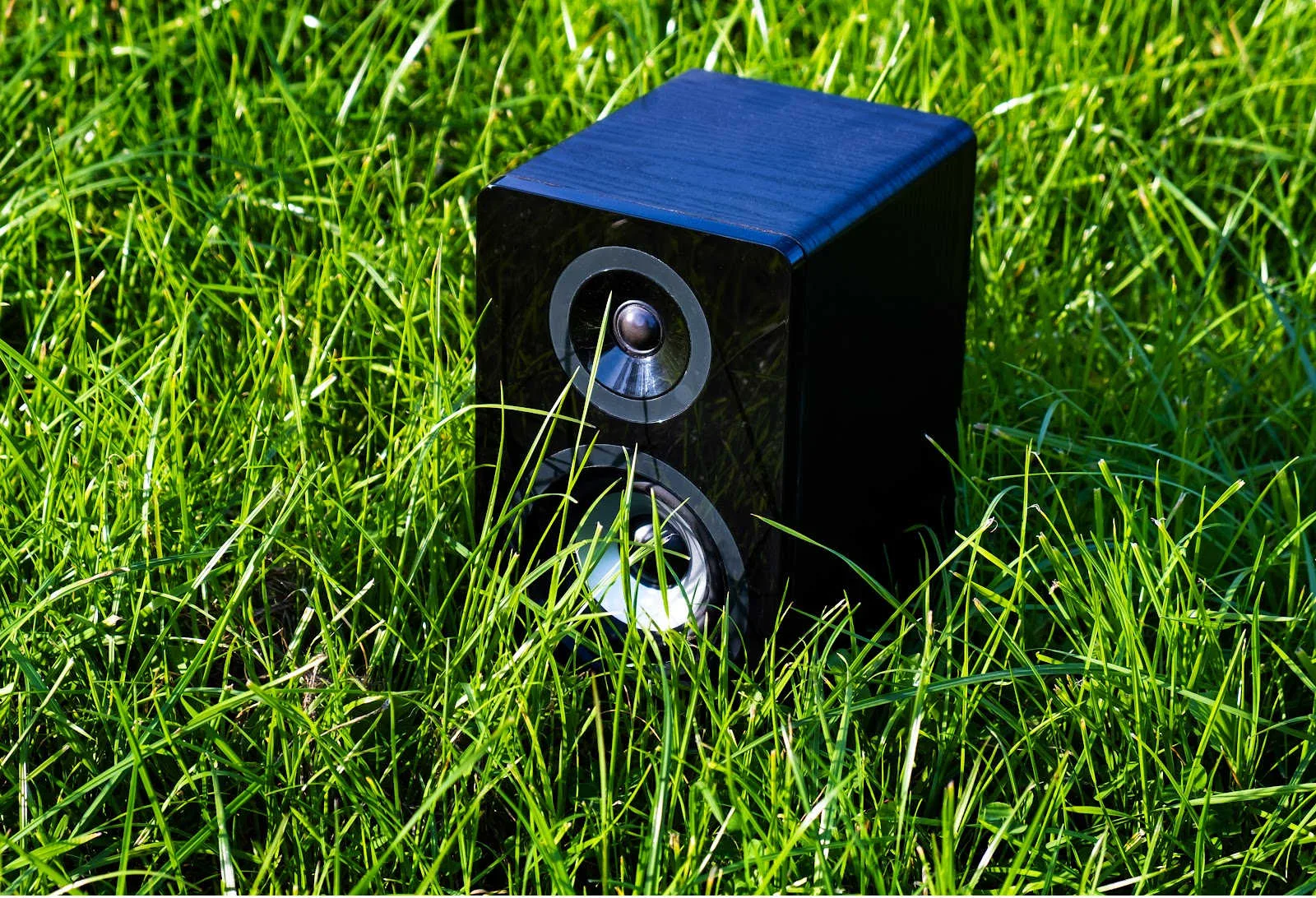 Outdoor Speakers