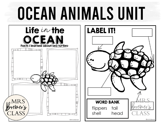 Ocean Animals theme study unit featuring 10 sea creatures with information charts, posters, and project worksheets templates for First Grade Second Grade Third Grade