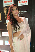 Prajna in Cream Choli transparent Saree Amazing Spicy Pics ~  Exclusive 020.JPG