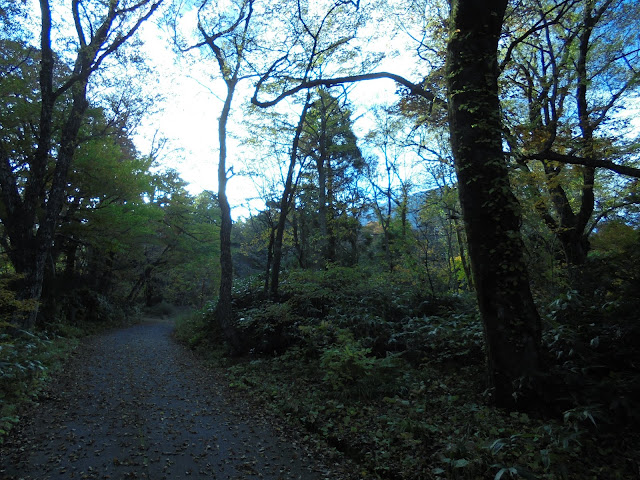 下山キャンプ場