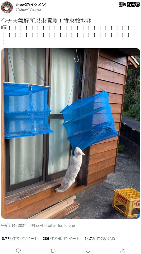 圖片