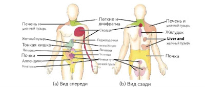 Отраженная боль – это боль, воспринимаемая в совершенно другом месте, отличном от места болевого раздражителя или источника. Это результат сети взаимосвязанных чувствительных нервов, которые снабжают многие различные ткани. Когда есть повреждение в одном месте в сети нервов, возможно, что когда сигнал интерпретируется в мозгу , сигналы воспринимаются в окружающей нервной ткани.