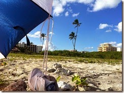 IMG_3942