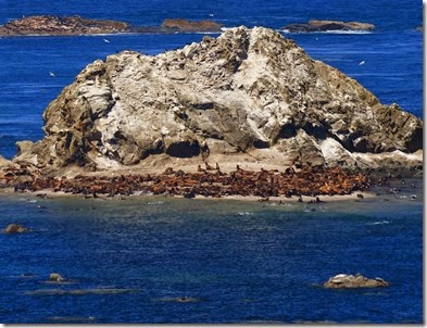 12 - Oregon089a