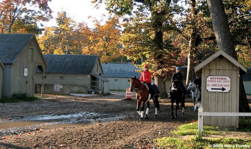 Saratoga stables