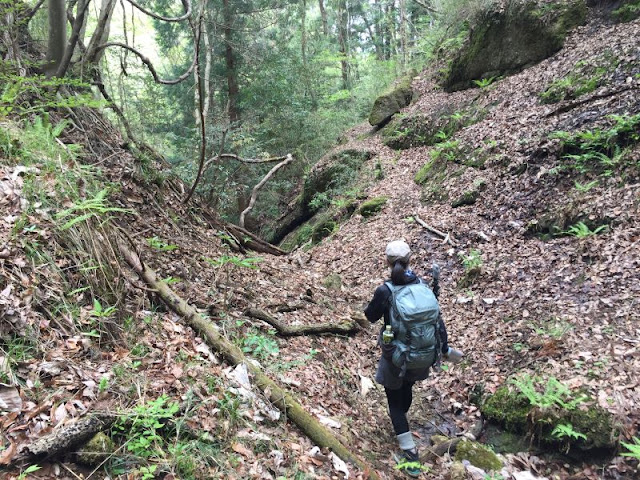 栃穴御前登山口から御前山登山口への道