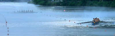 rowers in two 8-man sculls