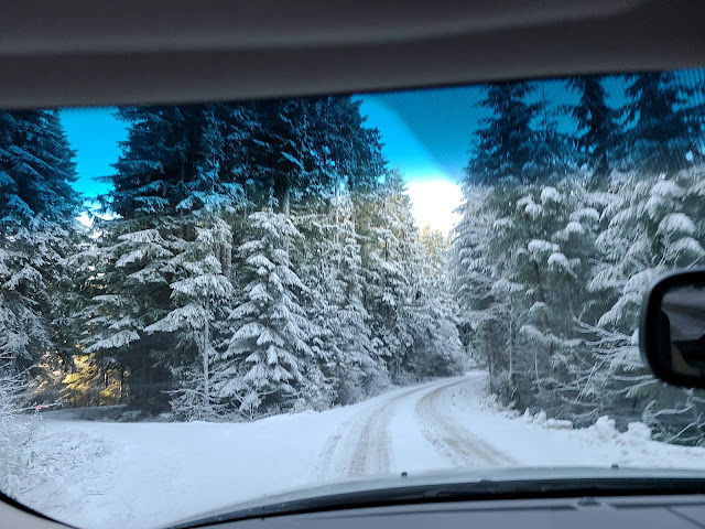 Salmonberry Road Shooting Pit Oregon