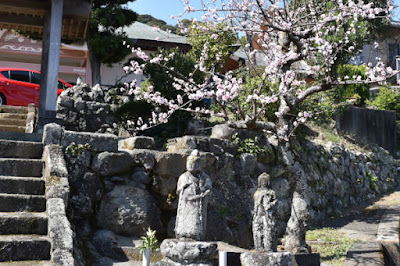 東泉院