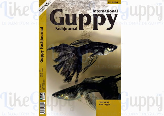 International-Guppy-Fachjournal-N-2-2014