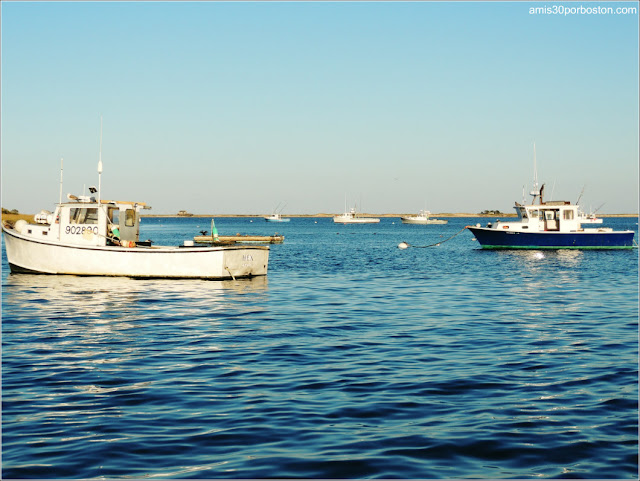 Playas de Massachusetts: Chatham Lighthouse Beach