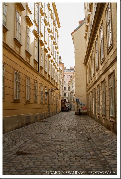 vienna city31-104