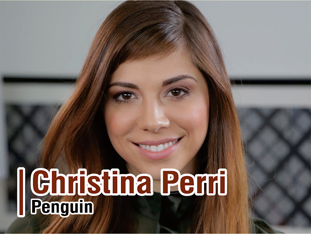 Lirik Lagu Penguin - Christina Perri