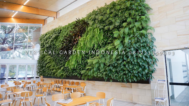 VERTICAL GARDEN INDONESIA SPESIALIS JASA PEMBUATAN VERTICAL GARDEN DI PEKALONGAN JAWA TENGAH DAN DI SELURUH WILAYAH JAWA TENGAH DENGAN TENAGA YANG PROFESIONAL DAN DAPAT DI PERCAYA YANG SELALU MENGUTAMAKAN SEBUAH MUTU DAN KUALITAS PEMASANGAN VERTICAL GARDEN/TAMAN DINDING, JASA TUKANG TAMAN VERTICAL PEKALONGAN JAWA TENGAH, JASA VERTICAL GARDEN PEKALONGAN JAWA TENGAH