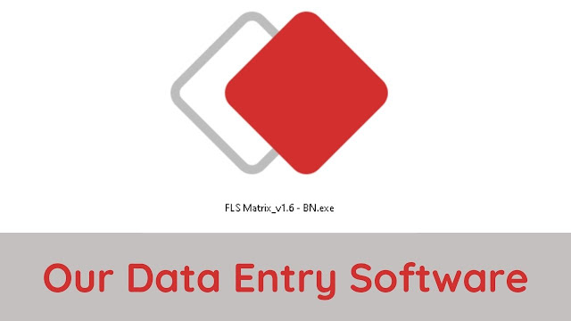 Fls Data Entry Software