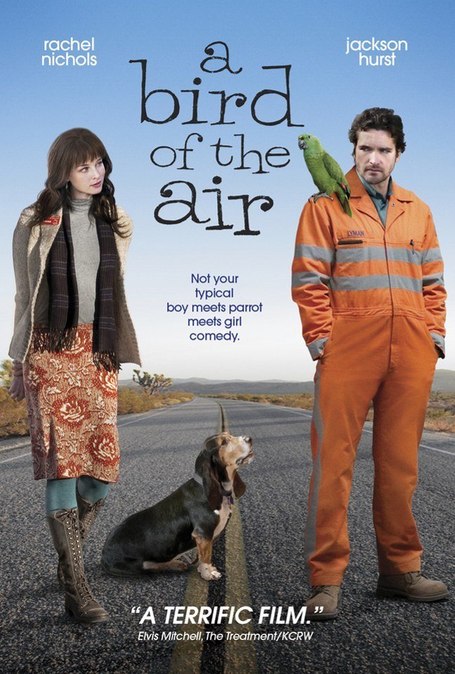 A Bird of the Air 2011 LiMiTED REPACK DVDRip XviD-LPD
