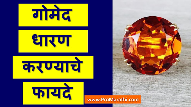 Gomed Stone Benefits in Marathi