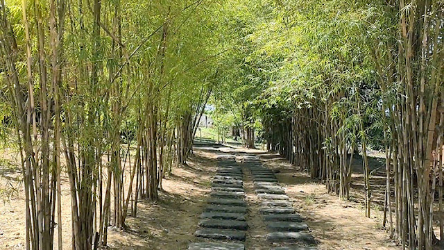 Kebun Bambu Dayang Resort Singkawang