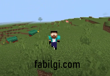 Minecraft PE 1.20 Scare Crow İndir Yeni Değişik Modlar 2023