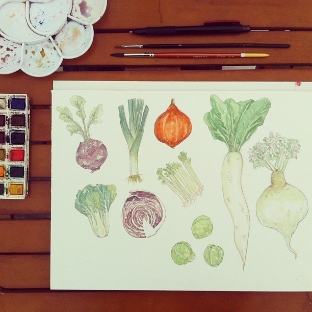 watercolour painting of macrobiotic veggies, radish, leeks, kohlrabi  