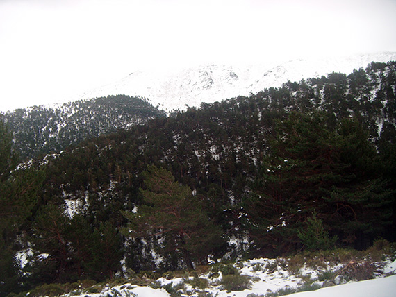 Así fue nuestra Ruta del puerto de Cotos a Colmenar Viejo. Noviembre 2012