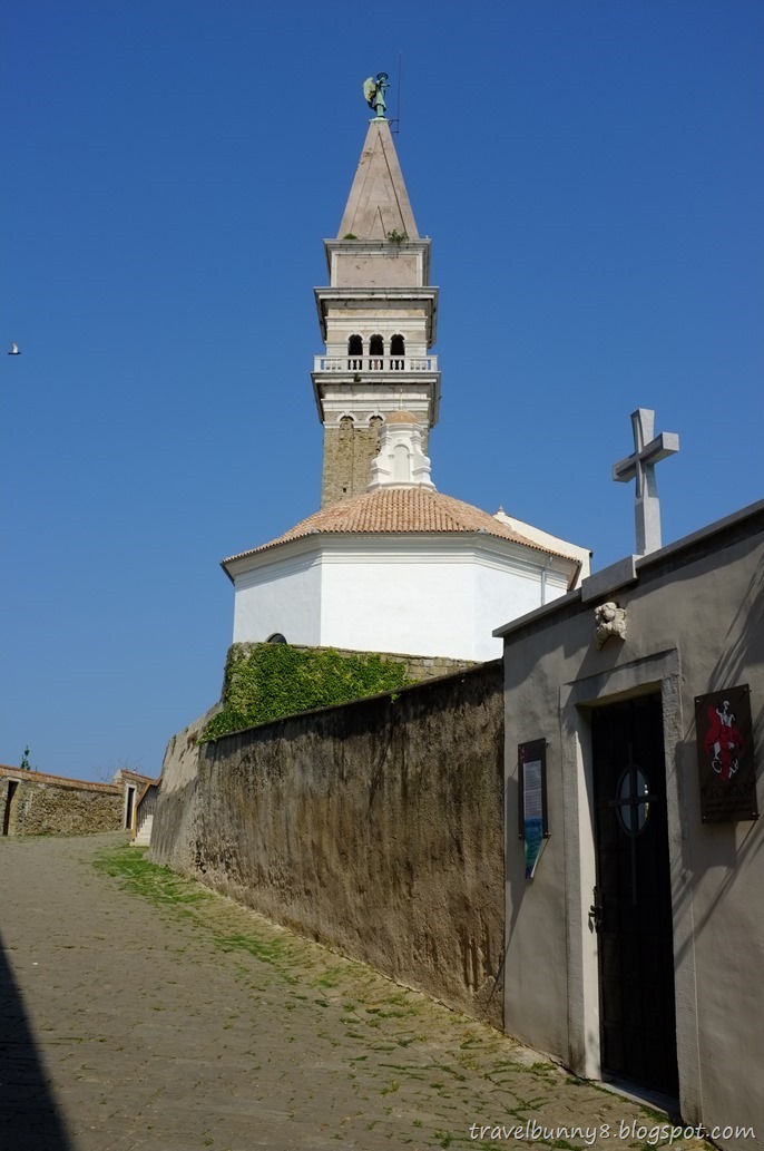 DSCF5726