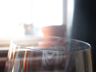 spiderweb on my glass