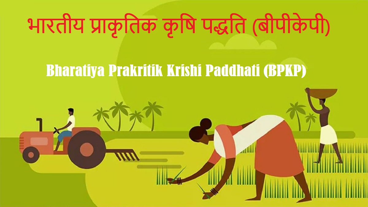 BHARATIYA PRAKRITIK KRISHI PADDHATI (BPKP): भारतीय प्राकृतिक कृषि पद्धति