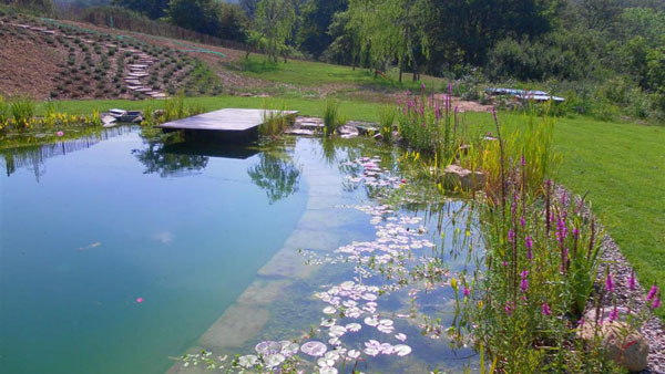 natural pool