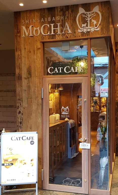Japan Travel Blog Osaka Cat  Cafe  MoCHA Shinsaibashi