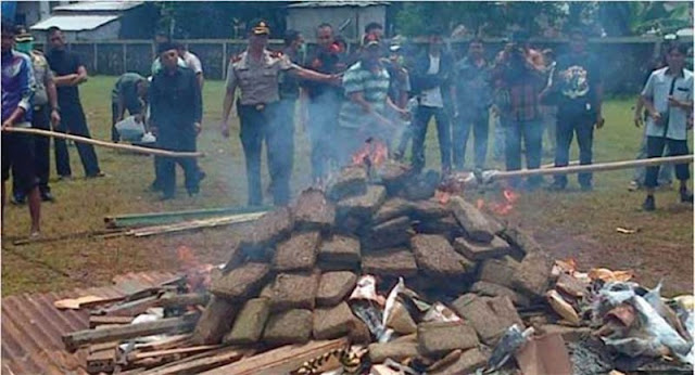 Polis Bakar 3.3 Tan Ganja, Satu Bandar 'High'