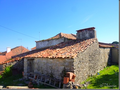 P1130598
