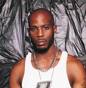 dmx house dmx house