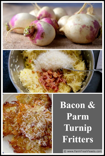 Shredded turnips flavored with freshly grated parmesan cheese and crispy bacon, bound up in these savory fritters, make an excellent dinner side dish or brunch entree.